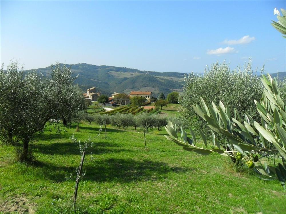 La Cinci Allegra Valfabbrica ภายนอก รูปภาพ