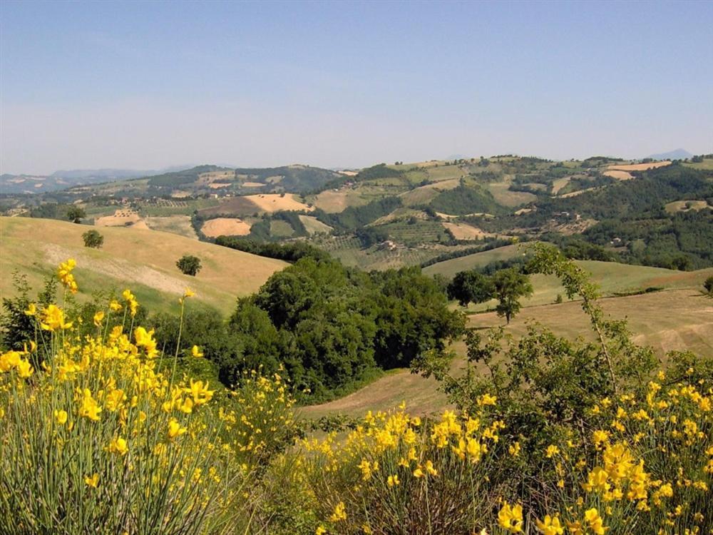 La Cinci Allegra Valfabbrica ภายนอก รูปภาพ