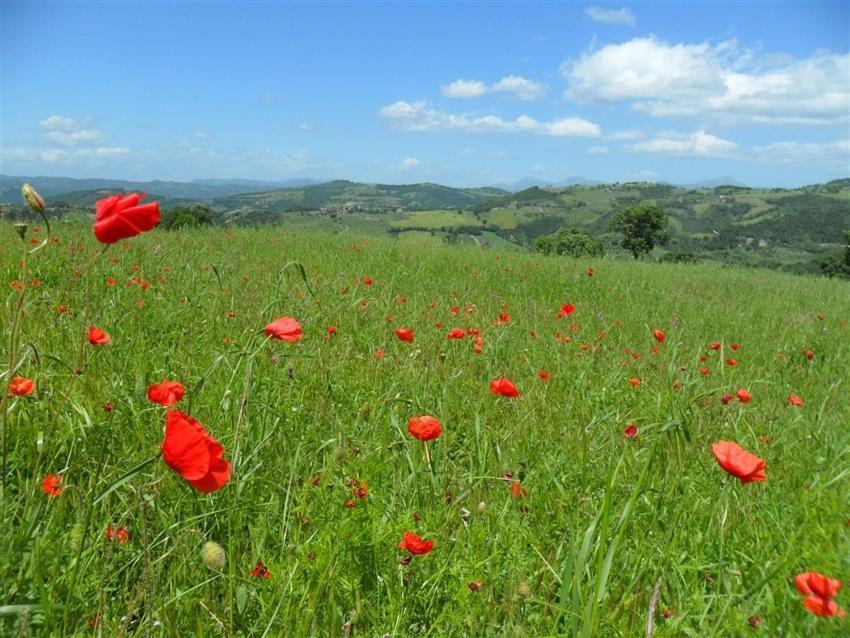 La Cinci Allegra Valfabbrica ภายนอก รูปภาพ