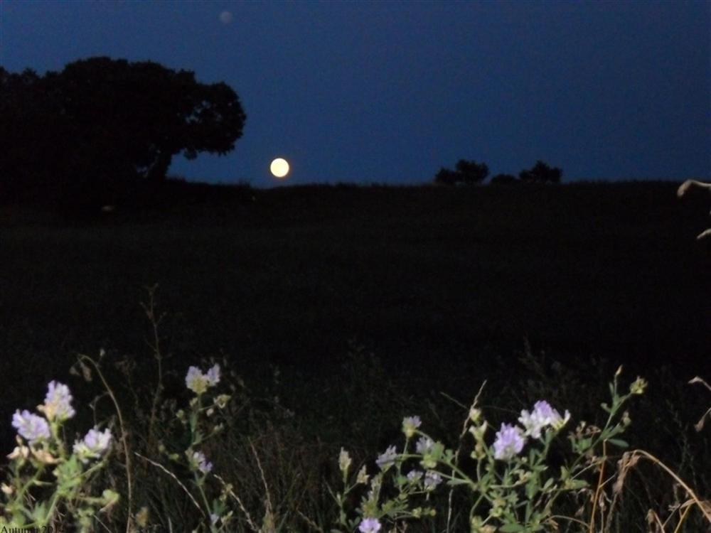 La Cinci Allegra Valfabbrica ภายนอก รูปภาพ